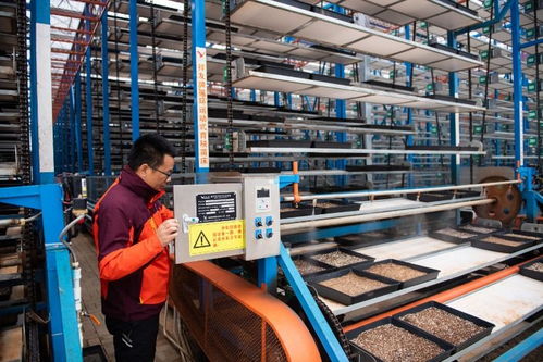 保姆式服务+智能化工厂+连片化土地——工业工程设计服务赋能湖南水稻大省春耕新图景